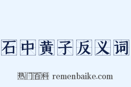 石中黄子反义词是什么意思的图片